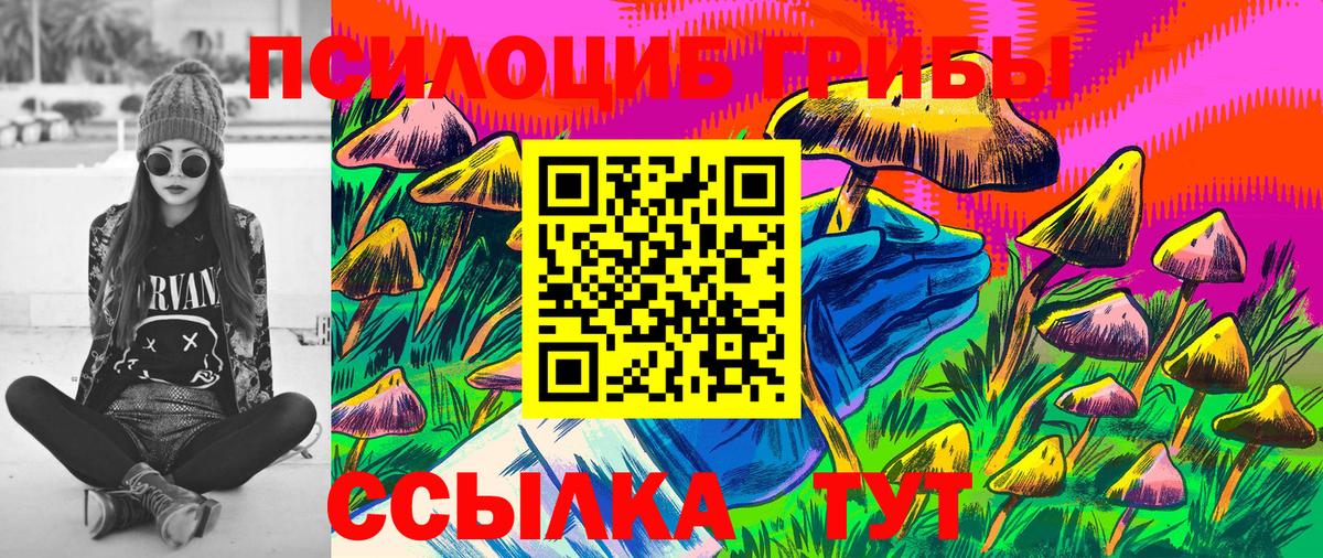Псилоцибиновые грибы ЛСД  Псилоцибиновые грибы Psilocybe  где найти   Горячий Ключ  Вход с VPN 